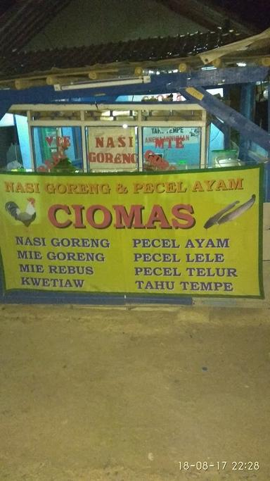 NASI GORENG PECEL LELE CIOMAS