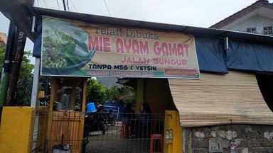 MIE AYAM GAMAT - CIRACAS