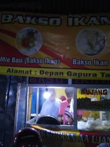 BAKSO IKAN AA UJANG