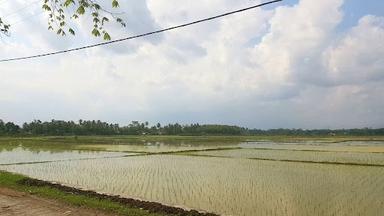 MIE AYAM MAS TOYO