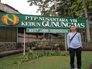 GUNUNG MAS AGROTOURISM