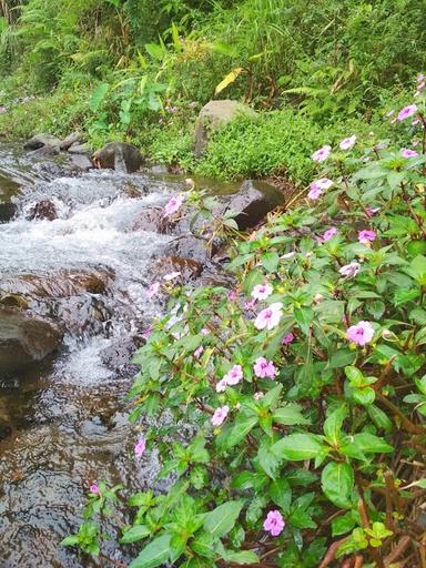 GUNUNG MAS AGROTOURISM