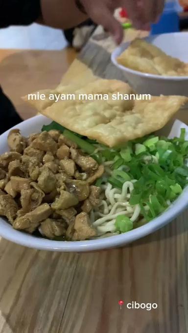 MIE AYAM MAMA SHANUM