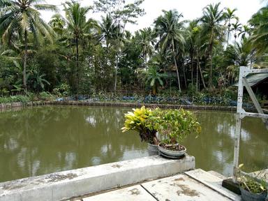 WARKOP SARIWANGI DIAN RAYSHA