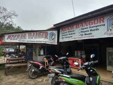 AYAM BANGOR