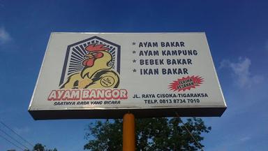 AYAM BANGOR