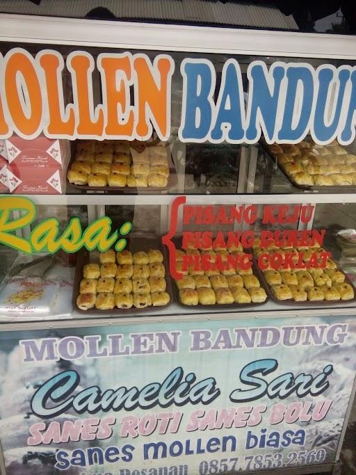 BOLLEN BANDUNG CAMELIA SARI