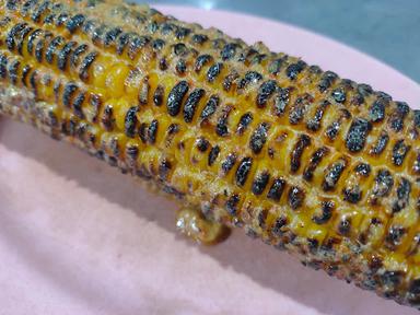 JAGUNG BAKAR MENTHEL