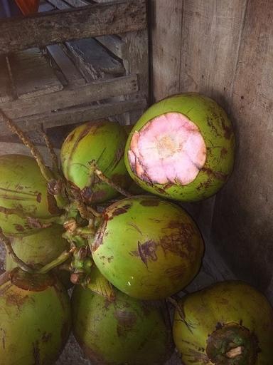 WARUNG MAKAN SEDERHANA