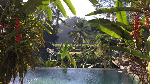 RUMAH MAKAN PADANG ANDALAS