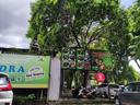 Nasi Tempong Indra Renon