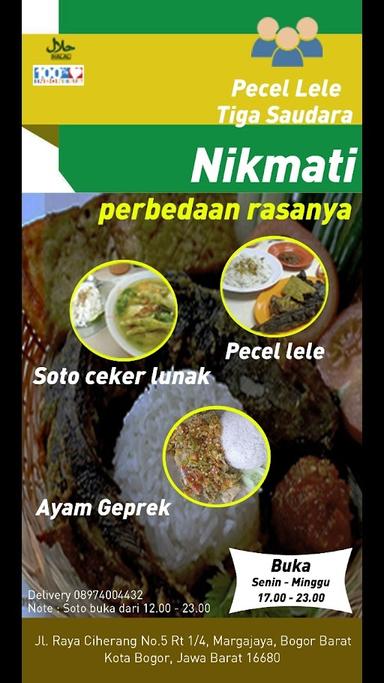 WARUNG PECEL LELE 3 SAUDARA