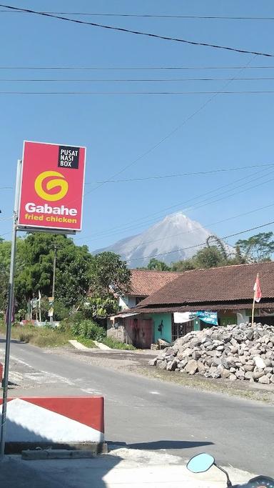 GABAHE FRIED CHICKEN DUKUN