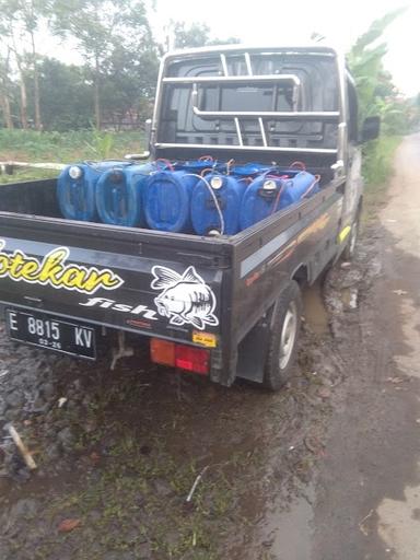 MOTEKAR JUAL BELI IKAN