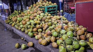 ZAHIRA KELAPA MUDA