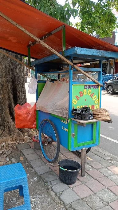 GADO-GADO SELERA ANDA