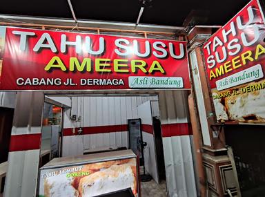 TAHU SUSU AMEERA CABANG DERMAGA