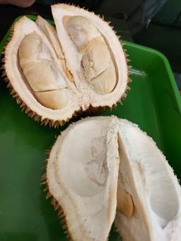 Photo's Babah Durian