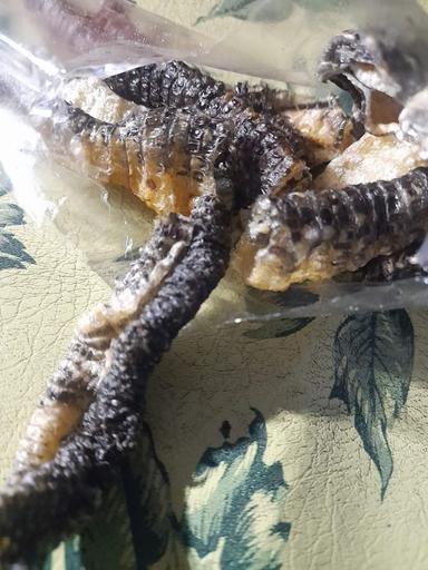 SATE BIAWAK