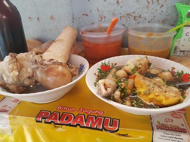 BASO ACI GAUL