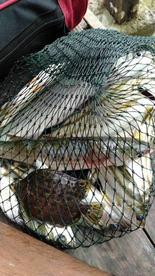 PEMANCINGAN IKAN RUCAH DAN MUNJAHIR PAK RW