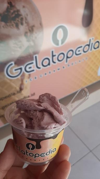 GELATOPEDIA