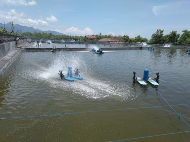 SON GUNUNG SARI BAHARI 1