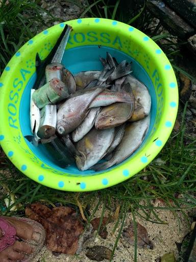 WARUNG MAKAN IKAN SEGAR PANTAI SADENG