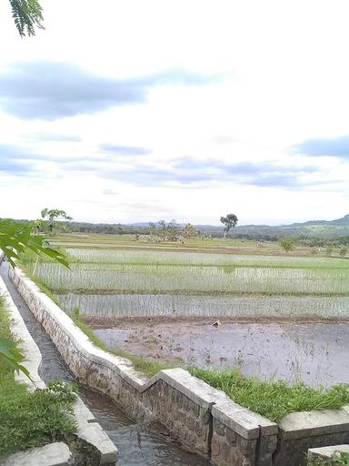 MIE AYAM MAS BAGONG