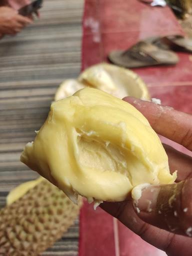 DURIAN NUSANTARA