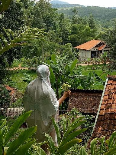 WARUNG BAPAK AJID