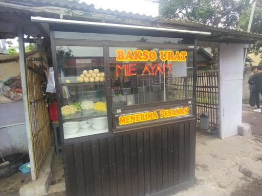 MEATBALLS AND CHICKEN NOODLES SEDULUR