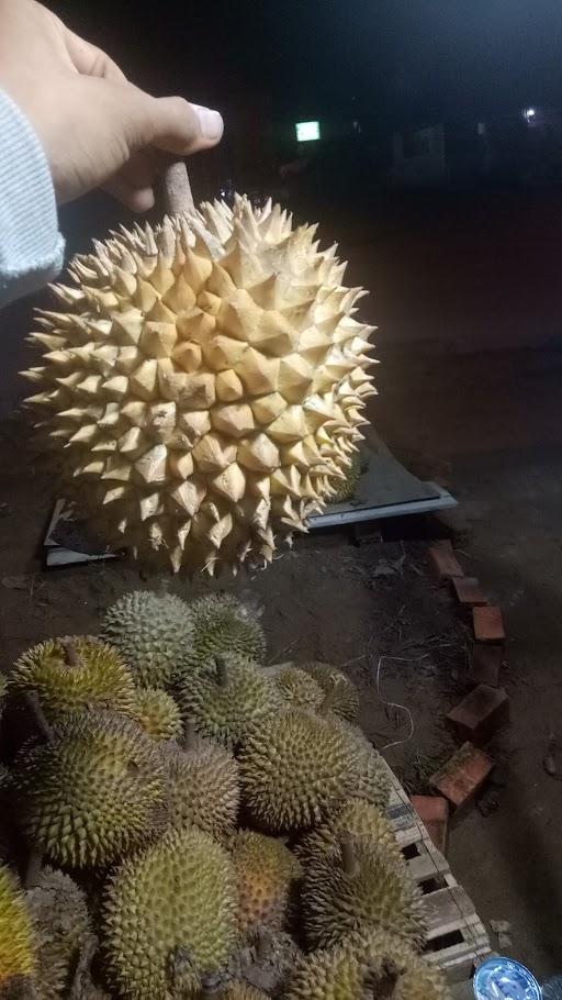 LAPAK DUREN PAKJO