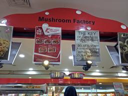 Photo's Mushroom Factory