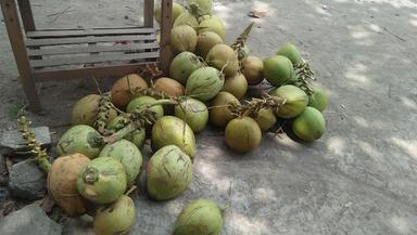 POP JUICE, BATAGOR DAN PEMPEK,BAKSO TUSUK