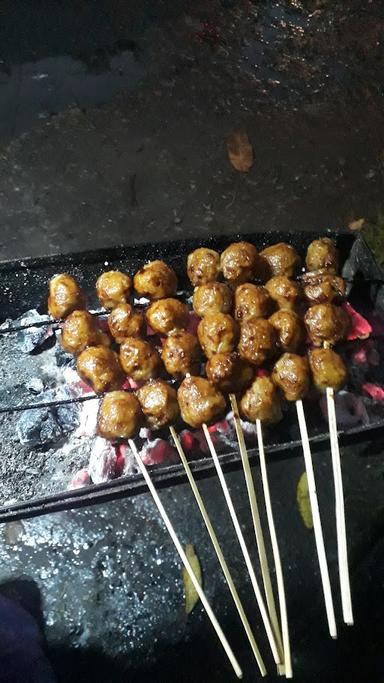 SATE KRONYOS DAN BAKSO BAKAR SRIHARJO