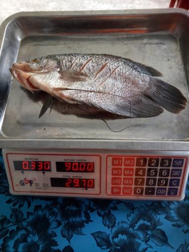 IKAN BAKAR JAMBANGAN PAK JENGGOT MANDIRI