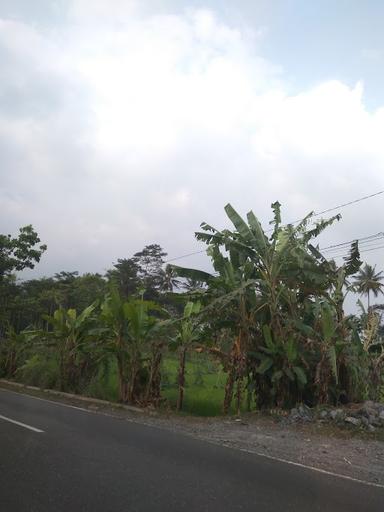 BAKSO BAWANG