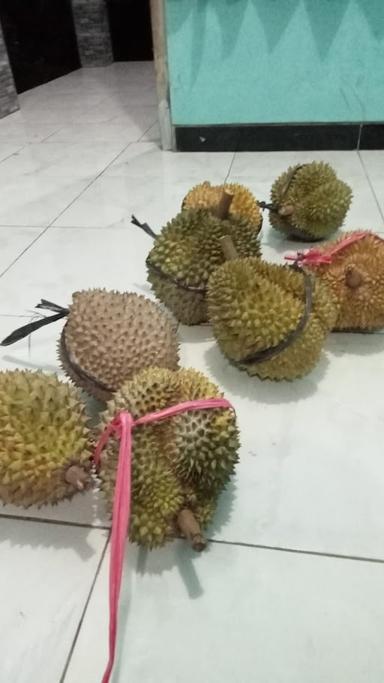 DURIAN BRONGKOL MBAH GURU SARDI