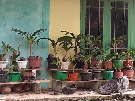 RESTORAN IKAN BAKAR KANG EMAN