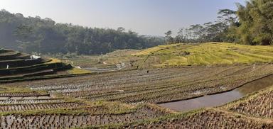 WARUNG SOTO BU DARTI