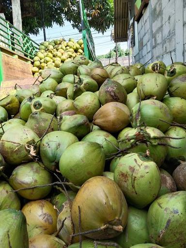 WARUNG ES KELAPA POETRA SINANGLING GROUP