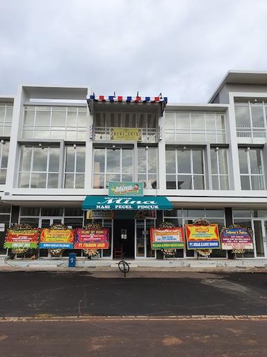 WARUNG NASI PECEL PINCUK MINA