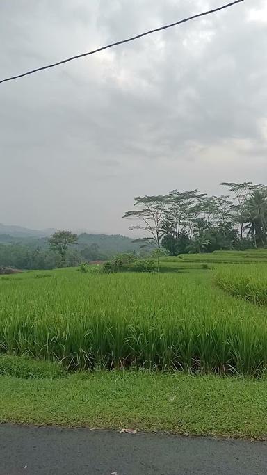 WAROENG DARMAGA IBU NINING