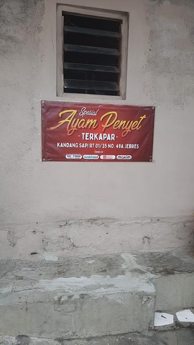 AYAM PENYET TERKAPAR