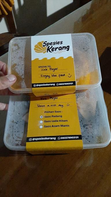 SPESIES KERANG