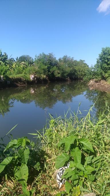 TIBU MERTASARI TEMPAT IKAN MONSTER JANGJANG