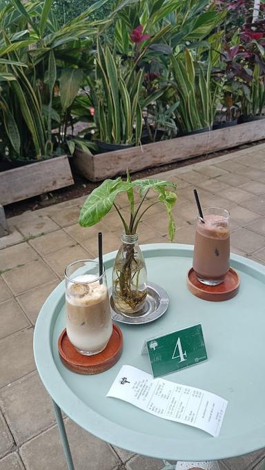 KOPI PEAN