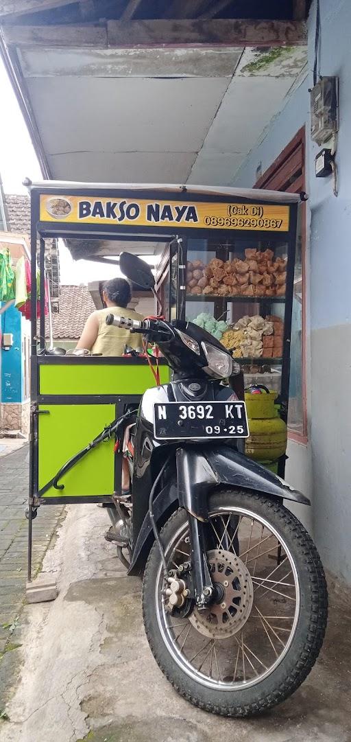 ANEKA BAKARAN SATE BUAYA