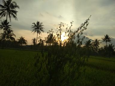 WARUNG LESEHAN